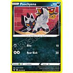 103 / 185 Poochyena comune normale (EN) -NEAR MINT-
