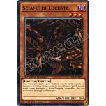 SBCB-IT153 Sciame di Locuste comune 1a Edizione (IT) -NEAR MINT-