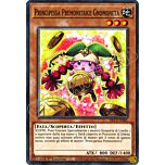 DLCS-IT081 Principessa Premonitrice Gnomoneta comune 1a edizione (IT)