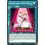 DLCS-IT112 Santuario Rituale comune 1a edizione (IT)