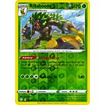 13 / 72 Rillaboom Rara Holo Reverse foil (EN) -NEAR MINT-