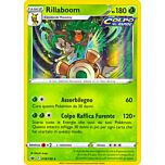 018 / 198 Rillaboom Rara Holo foil (IT) -NEAR MINT-