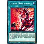 DAMA-IT055 Legame Marchiato comune 1a Edizione (IT) -NEAR MINT-