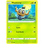 016 / 264 Phantump Comune normale (EN) -NEAR MINT-