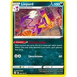 091 / 172 Liepard Rara normale (IT) -NEAR MINT-