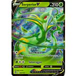 007 / 195 Serperior V Rara Holo V foil (IT) -NEAR MINT-