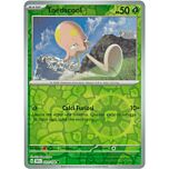 024/198 Toedscool Comune foil reverse (IT) -NEAR MINT-