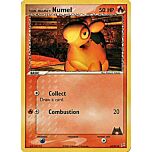 64 / 95 Team Magma's Numel comune (EN) -NEAR MINT-