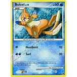 061 / 106 Buizel LV.14 comune (EN) -NEAR MINT-