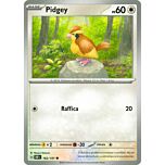 162 / 197 Pidgey Comune normale (IT) -NEAR MINT-