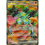 228 / 182 Peldisabbia ex Rara Segreta foil (IT) -NEAR MINT-