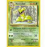 30 / 64 Victreebel rara unlimited (IT) -NEAR MINT-