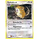 061 / 132 Raticate LIV.29 non comune (IT) -NEAR MINT-