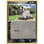 063 / 109 Poochyena G-31 comune (IT) -NEAR MINT-