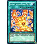 TSHD-IT058 Inizializzatore Koa'ki Meiru! comune 1a Edizione (IT) -NEAR MINT-