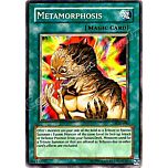 PGD-090 Metamorphosis comune Unlimited -NEAR MINT-